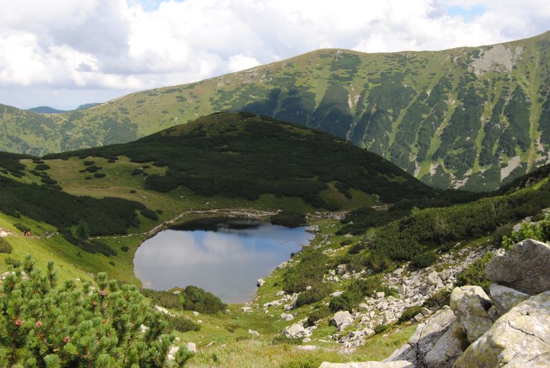 pepajs.cz